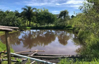Sítio à venda - sertãozinho amparo, amparo - 170m2  - 3 quartos