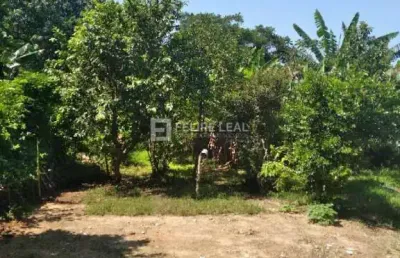 Casa com 7 quartos à venda na Rua Alexandre Plucinski, 124, Forquilhas, São José