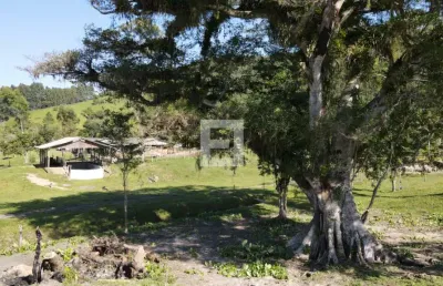 Fazenda à venda na Estrada Geral De Penha, Zona Rural, Paulo Lopes