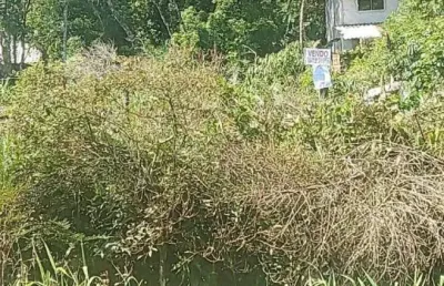 Terreno à venda na rua uruguai, centro, guaratuba por r$ 75.000