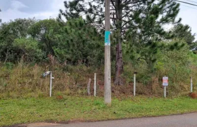 Terreno à venda na rua professor fridolino kletemberg, 178, aristocrata, são josé dos pinhais por r$ 2.755.000