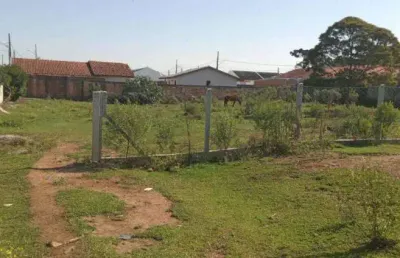 Terreno à venda na rua irmã lucrecia da rocha, campo largo da roseira, são josé dos pinhais, 6050 m2 por r$ 1.573.520