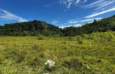 Chácara à venda, 145200 m² por r$ 720.000,00 - paiol de baixo - campina grande do sul/pr