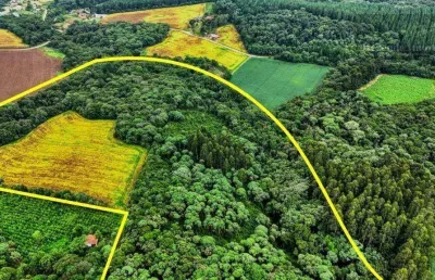 Área à venda, 88 m² por r$ 750.000,00 - roseira - rio negro/pr