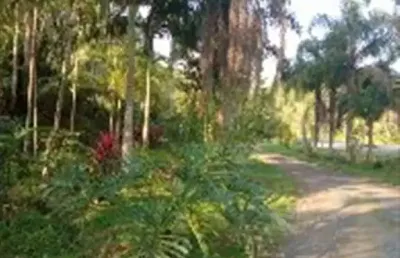 Sítios para venda em cananeia no bairro iririaria mirim