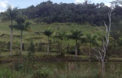 Chácara / sítio à venda na Bairro Descalvado, 139, Descalvado, Juquiá