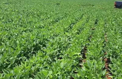 Fazenda à venda no centro, sidrolândia  por r$ 30.000.000
