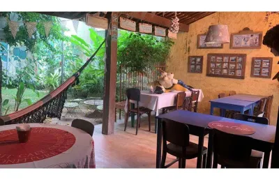 Casa com 4 quartos para alugar no Poço da Panela, Recife 