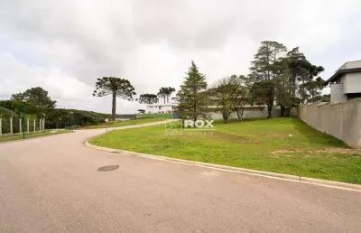 Terreno à venda, 1032 m² por r$ 2.065.000,00 - campo comprido - curitiba/pr