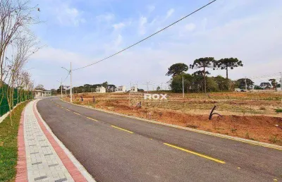 Terreno à venda, 245 m² por r$ 238.000,00 - costeira - são josé dos pinhais/pr