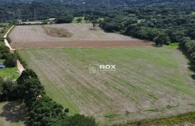 Terreno rural à venda, 22.000 m² por r$ 1.300.000 - salgadinho, campo largo/pr