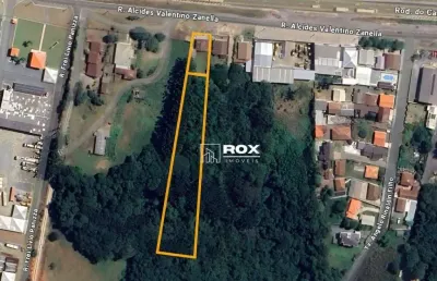 Terreno à venda, 4132 m² por r$ 1.950.000 - rondinha, campo largo/pr
