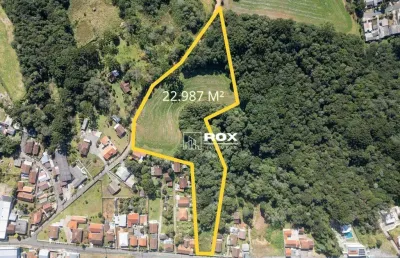 Terreno à venda, 22987 m² por r$ 3.000.000 - rondinha, campo largo/pr