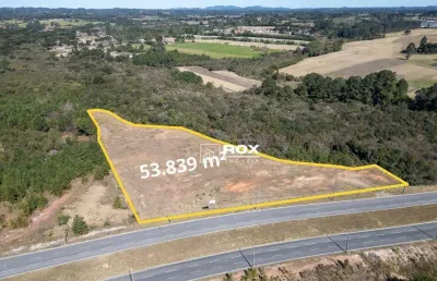 Terreno à venda, 53.839 m² por r$ 13.030.000 - campo largo da roseira, são josé dos pinhais/pr