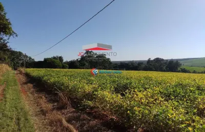 Área à venda, 198.721 m² próximo as empresas ajinomoto, agropalma e o castelo do josé rico - parque nossa senhora das dores - limeira/sp