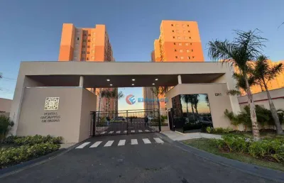 Apartamento com 2 quartos à venda, 55 m² por r$ 295.000 - parque orestes ôngaro - hortolândia/sp