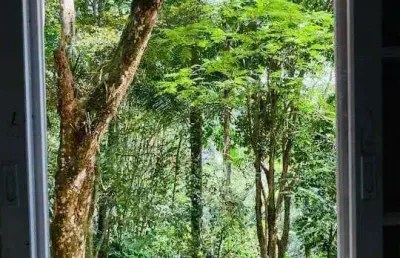 Área para venda em são sebastião, barra do una, 2 dormitórios, 1 banheiro, 2 vagas