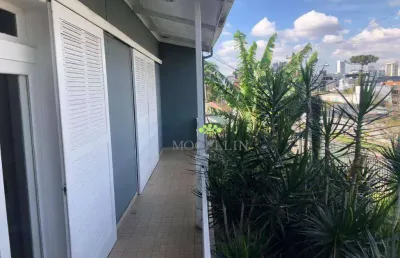 Terreno para alugar, 1539 m² por r$ 18.000,00/mês - bigorrilho - curitiba/pr