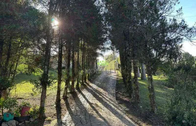Chácara com 4 dormitórios à venda, 32000 m² por r$ 2.600.000,00 - jardim santa nely - campo largo/pr