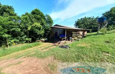 Chácara / sítio à venda na Rua Gonzaguinha, 100, Rincão do Cascalho, Portão