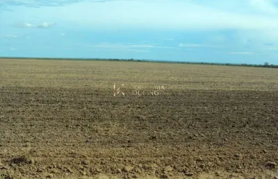 Fazenda à venda na região de balsas, com  250 hectares loreto - ma