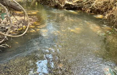Vendo chácara  com 2 mil metros saída pra senador canedo em calzinha de goiás
