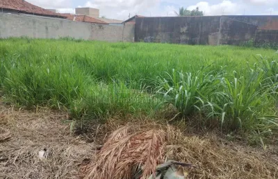 Terreno à venda, ótima localização, jardim autonomista, campo grande - ms