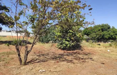 Terreno à venda, vila vilas boas, campo grande - ms