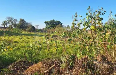 Área de 10.000 m2, à venda, giocondo orsi ii, campo grande - ms