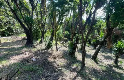 Chácara / sítio com 2 quartos à venda na lúcia bigatto masetto, 159, jardim monte belo, campinas, 120 m2 por r$ 280.000