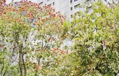 Apartamento com 4 quartos à venda na avenida princesa d'oeste, 1295, jardim proença, campinas, 156 m2 por r$ 870.000