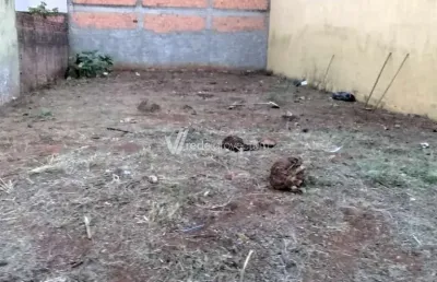 Terreno à venda na rua josé galgano, s/nº, parque via norte, campinas por r$ 237.000