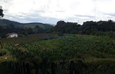 Chácara / sítio com 3 quartos à venda na estrada iguatemi, 142, caixa d´água, vinhedo, 200 m2 por r$ 1.500.000