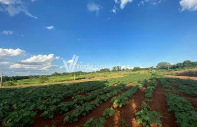 Terreno comercial à venda na armando botasso, s/nº, betel, paulínia por r$ 10.600.000