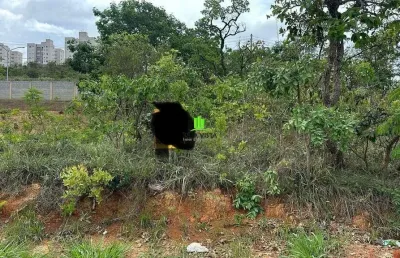 Terreno à venda na cinco, 16, mariposas, lagoa santa por r$ 350.000