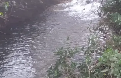 A&m imoveis vende 27.64 hectares entre sao joao da aianca e auto paraiso go