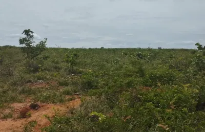 A&m imoveis vende exelente fazenda com 329hhectares em joao pinheiro