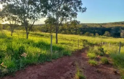 Vendo propriedade rural - 33 hectares | região de são gabriel /go - brasilinha/go