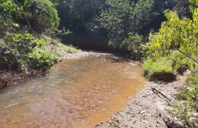 A&m imoveis vende exelente fazenda em cocalzinho com 87.8 hectares