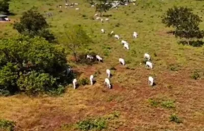 * a&m imoveis vende exelente fazenda em formosa com 295hectares