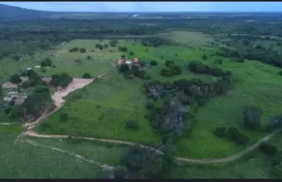 A&m imoveis vende fazenda gabriela, melhor da região de arinos-mg