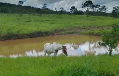 A&m imoveis vende fazenda em sobradinho dos melos, região do paranoá-df 60 hectares