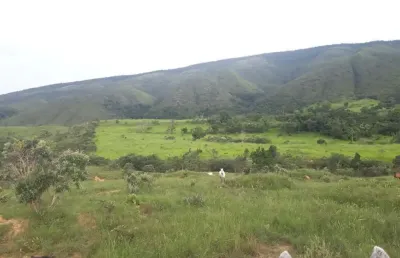 A&m imoveis vende otima esta fazenda com 68hectares em sao joao da aliança