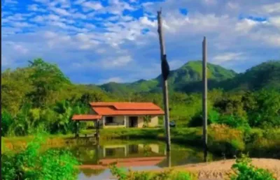 A&m imoveis vende exelente fazenda com 65 hectares muita agua em minaçu