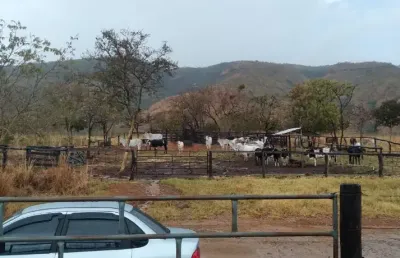 A&m imoveis vende uma belissima fazenda  a 42km de alvorada do norte goias