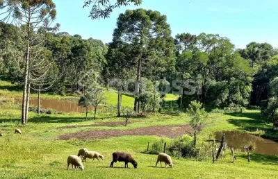 Fazenda à venda no palmeirinha, guarapuava , 125800 m2 por r$ 1.500.000