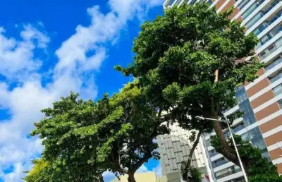 Apartamento - alto padrão, para aluguel em salvador/ba