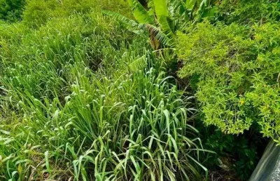 Terreno à venda, 360 m² por r$ 385.000,00 - jardim bela vista - rio das ostras/rj