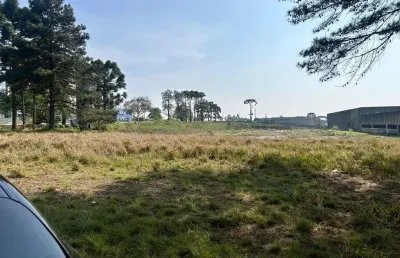 Barracão com 5.000 m², aluguel de r$ 100.000 + taxas - alphaville graciosa, pinhais (pr)