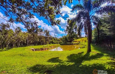 Chácara / sítio com 3 quartos à venda na Estrada Colônia Cristina, 1, Colônia Mariana, Campo Largo